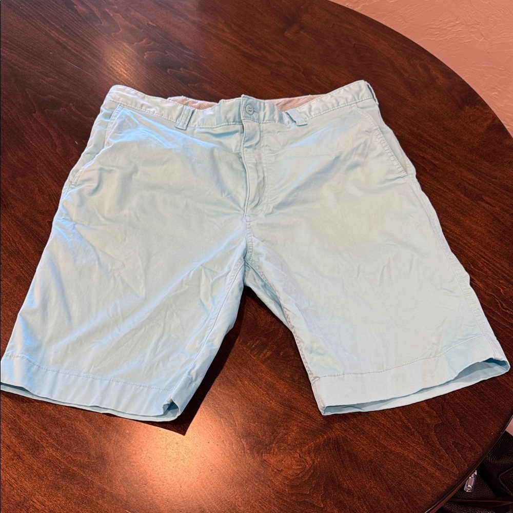 Daniel Cremieux Men's Aqua Shorts